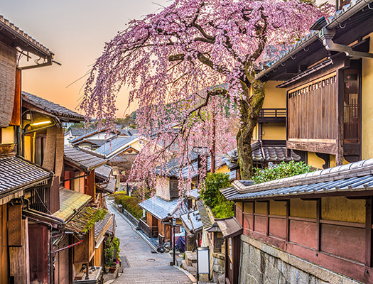 Contact us for the Best Kitchen Knives