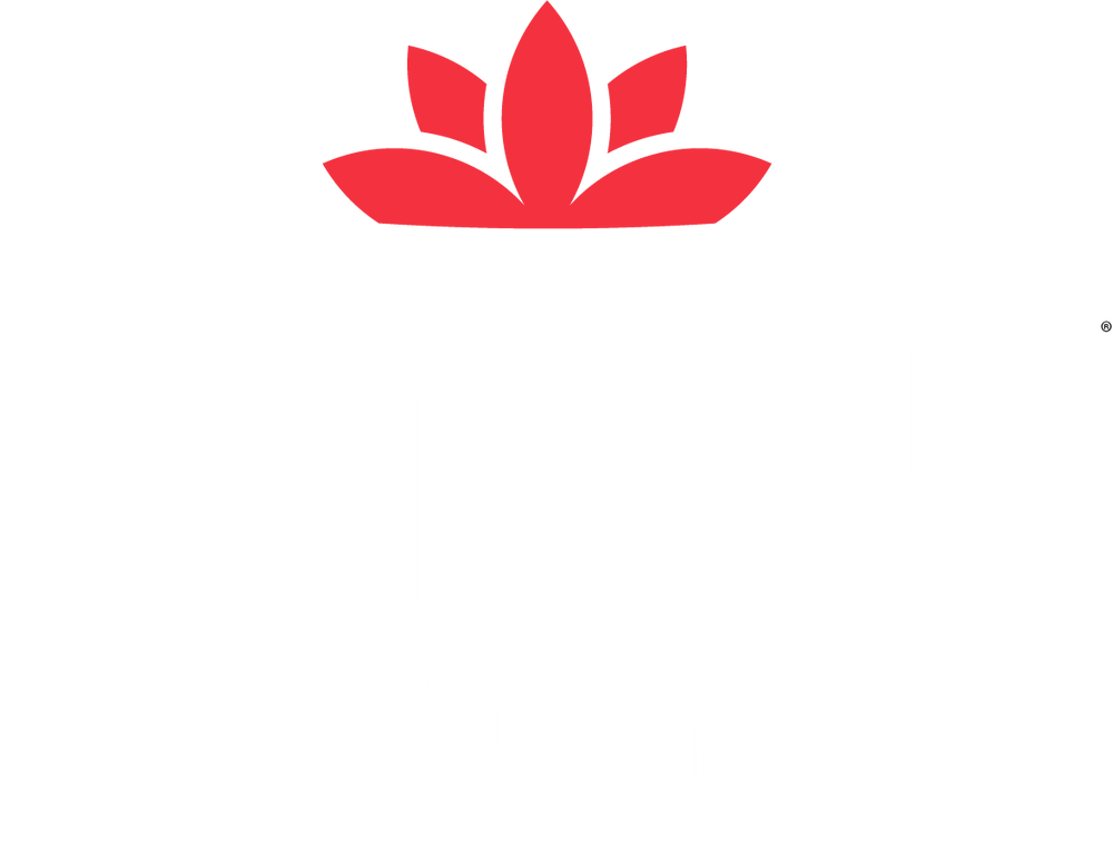 Ginsu Katana